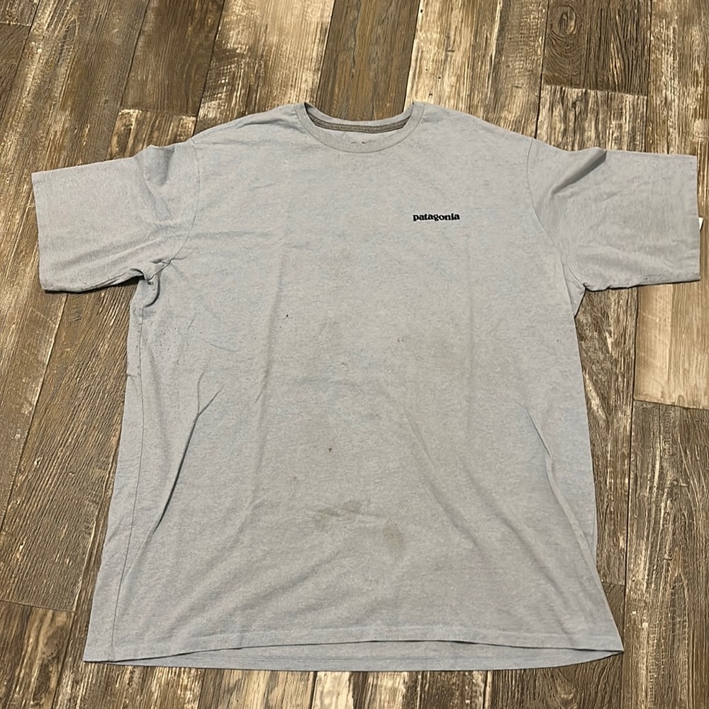 patagonia shirt